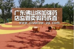 广东佛山将加强药店监管卖假药或直接吊牌“PG捕鱼”(图3) PG捕鱼