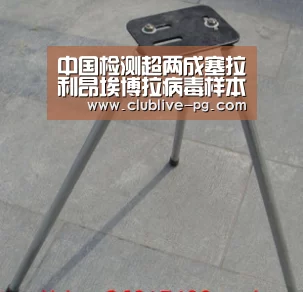 中国检测超两成塞拉利昂埃博拉病毒样本-PG电竞直播(图2) PG老虎机