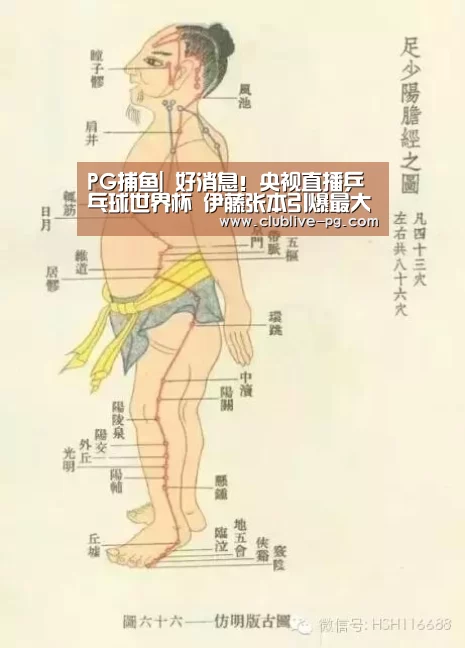 PG捕鱼|
好消息!央视直播乒乓球世界杯 伊藤张本引爆最大看点(图1) PG电竞直播