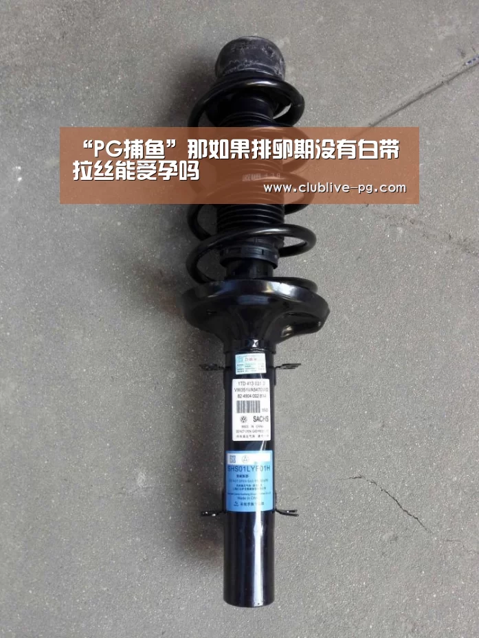 PG篮球