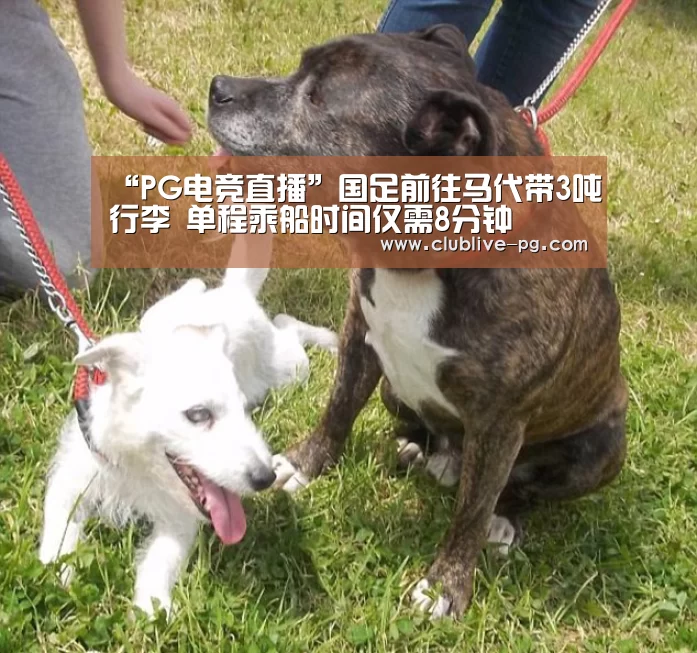 “PG电竞直播”国足前往马代带3吨行李 单程乘船时间仅需8分钟(图1) PG电竞直播