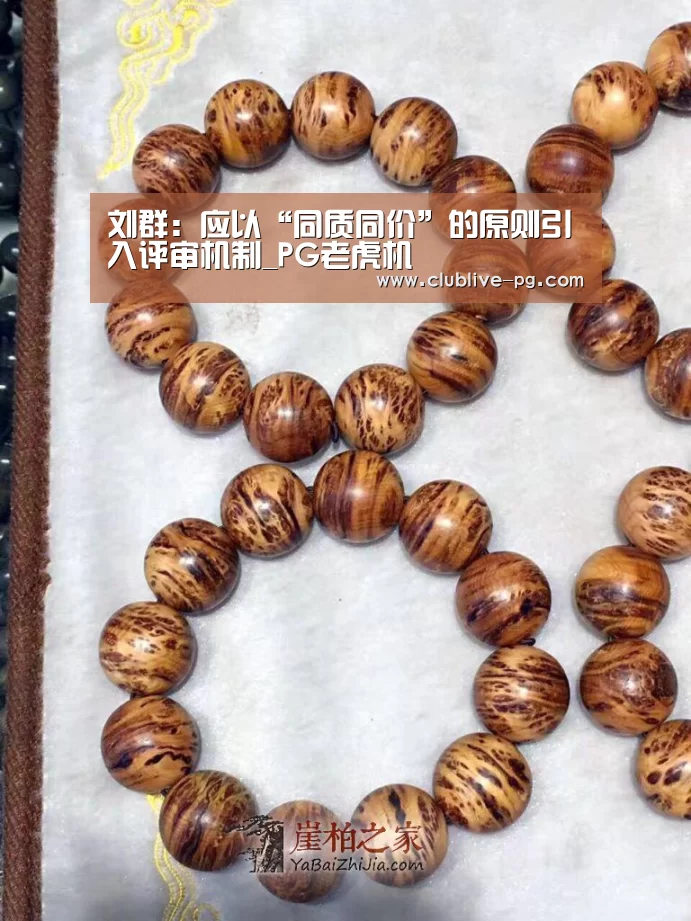 刘群:应以“同质同价”的原则引入评审机制_PG老虎机(图3) PG捕鱼