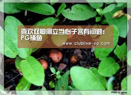 喜欢双脚侧立当心子宫有问题:PG捕鱼(图1) PG老虎机